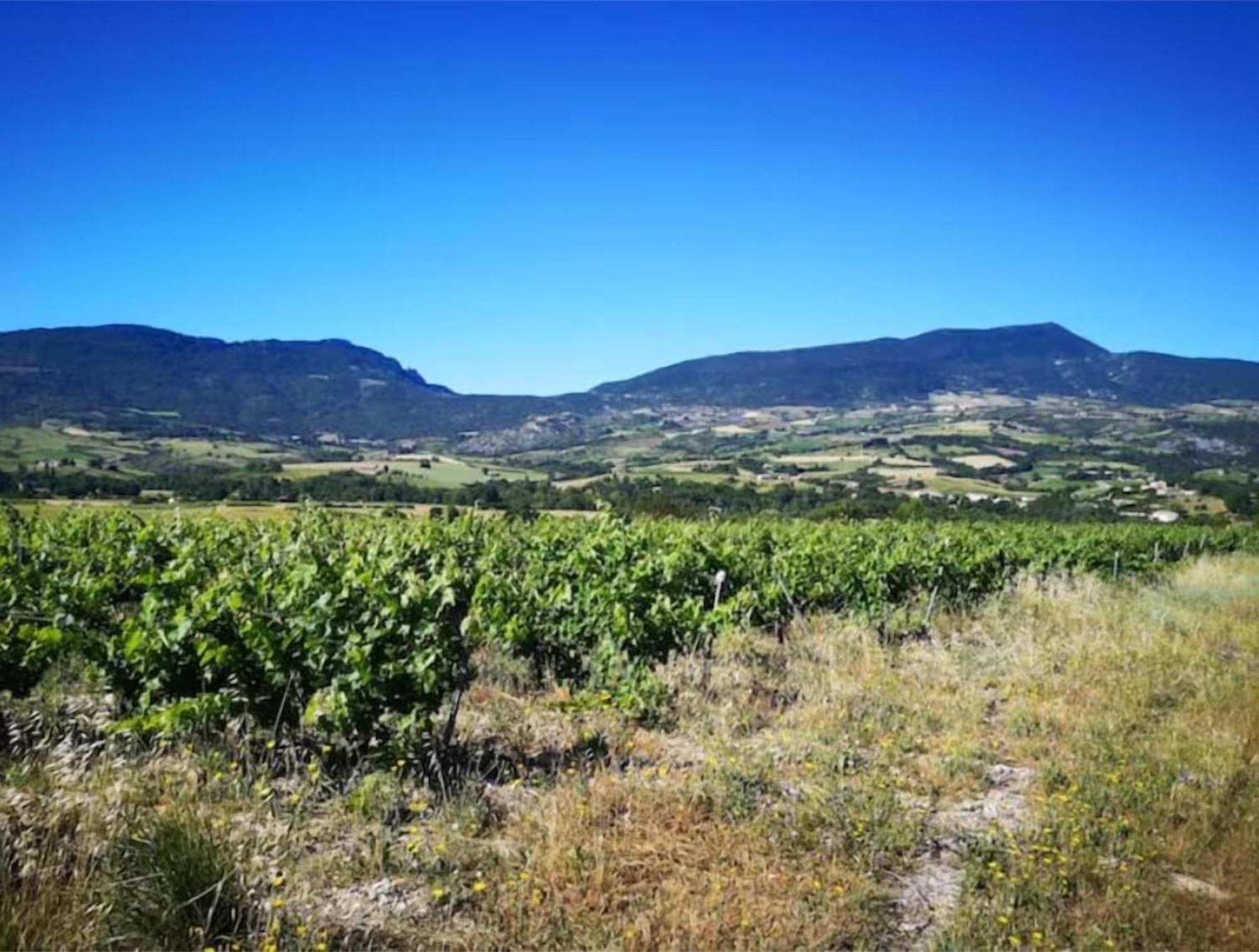 Вілла Le Cigalou - Drome Provencale Sainte-Jalle Екстер'єр фото